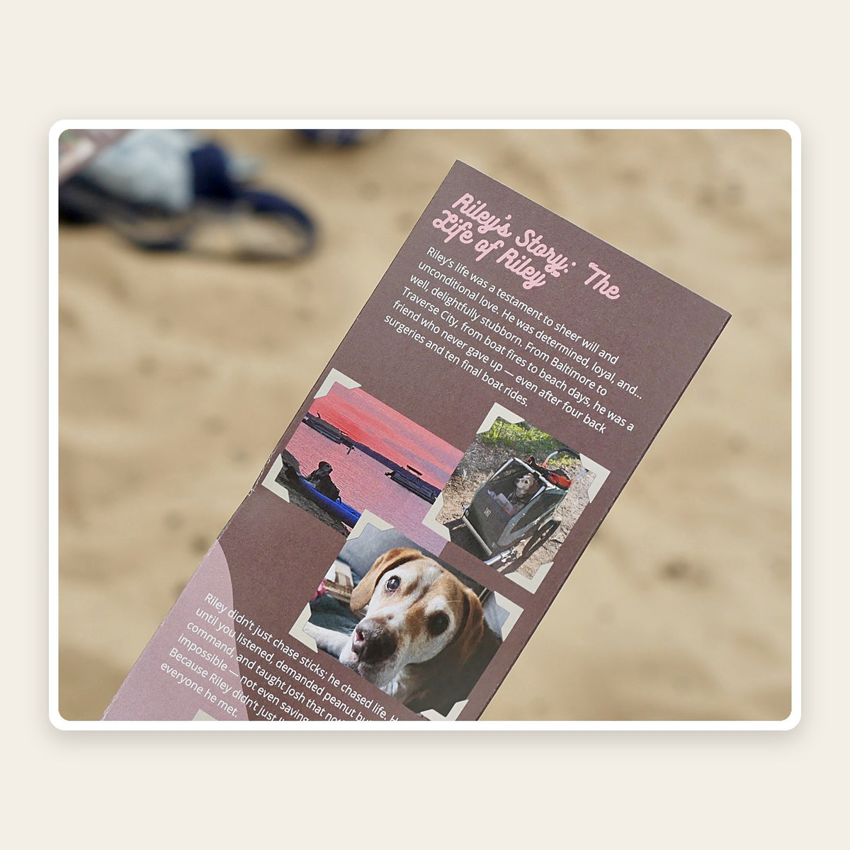 Sample Final Adventure Map for a beloved dog, held on the beach, with his story and photos
