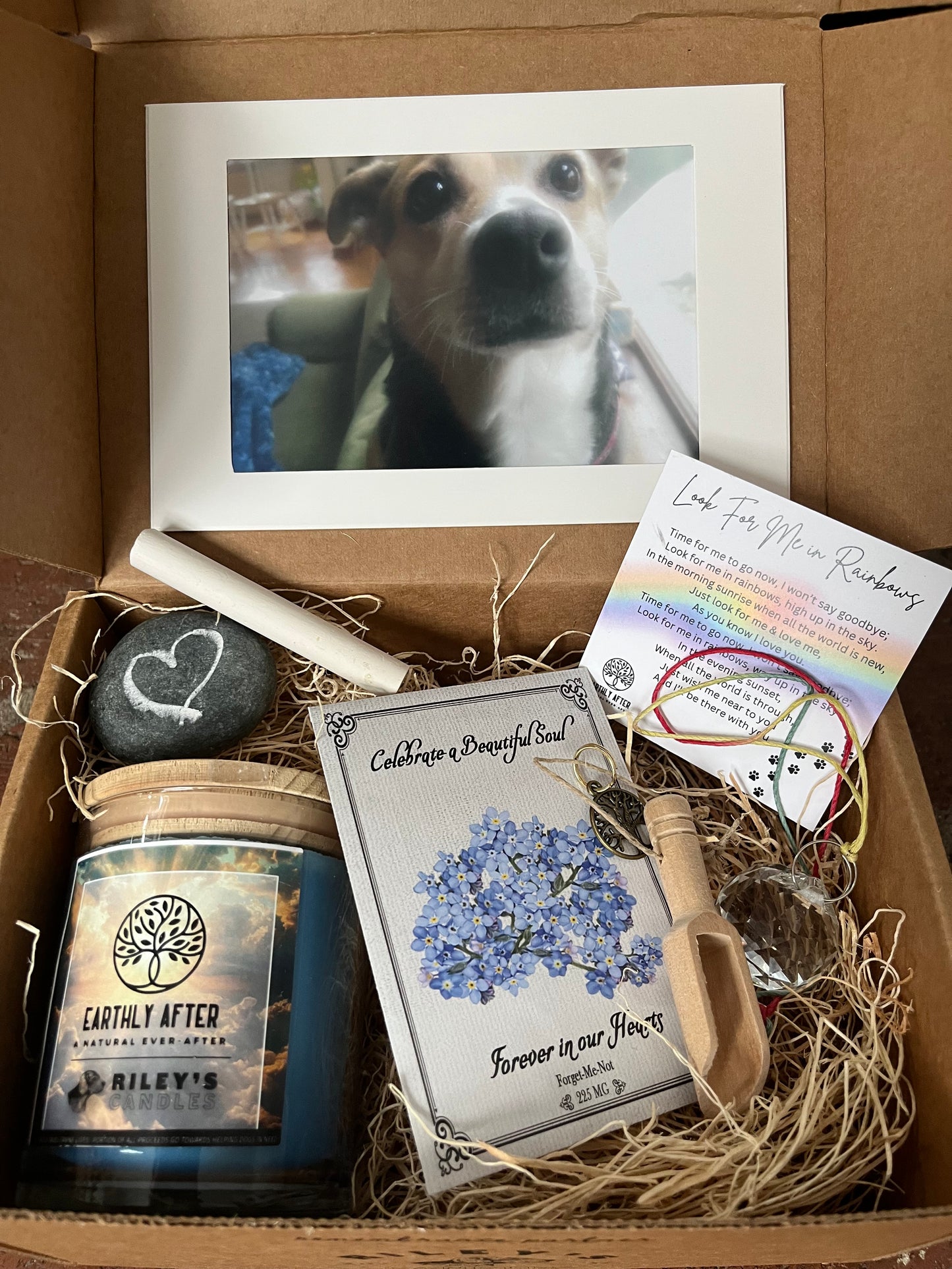 Pet Loss Care Pack