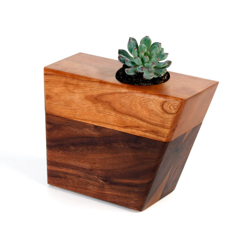 succulent urn The Living Urn Planter – Earthly After